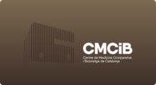 CMCiB