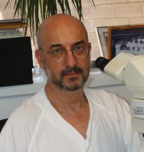 Pedro Luis Fernández Ruiz